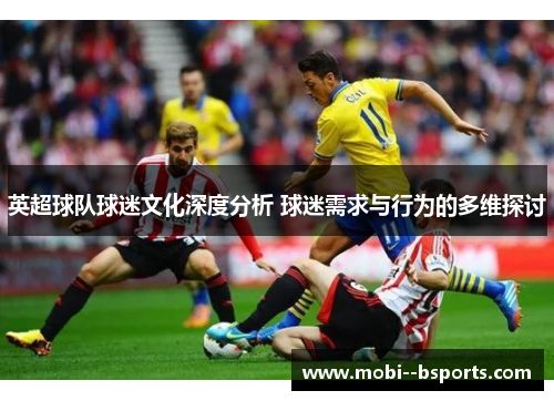 英超球队球迷文化深度分析 球迷需求与行为的多维探讨