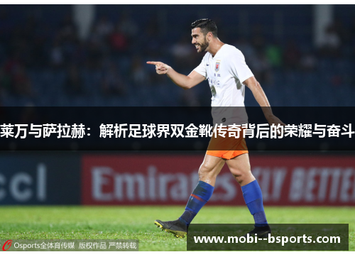 莱万与萨拉赫：解析足球界双金靴传奇背后的荣耀与奋斗