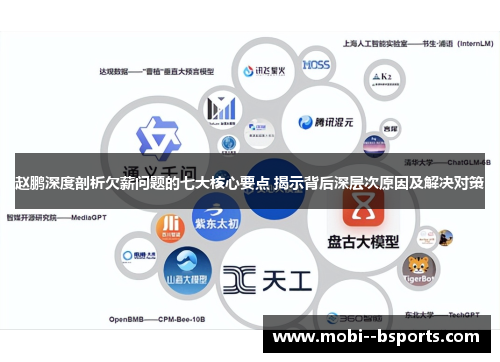 赵鹏深度剖析欠薪问题的七大核心要点 揭示背后深层次原因及解决对策