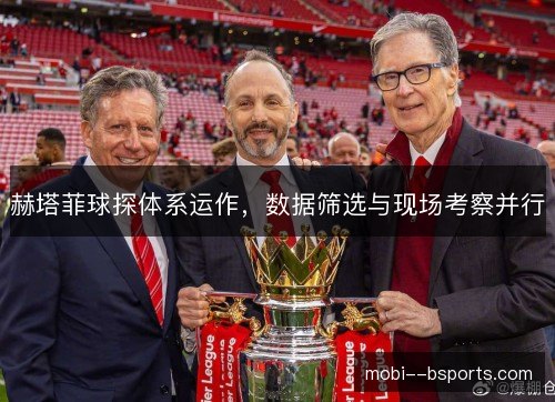 赫塔菲球探体系运作,数据筛选与现场考察并行 赫塔菲球探体系运作,数据筛选与现场考察并行